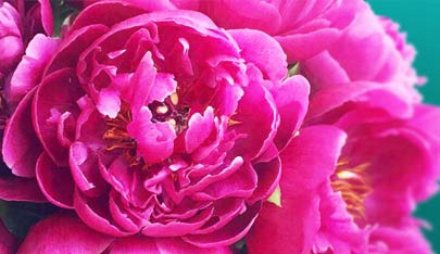 ���������� ����������� � �������